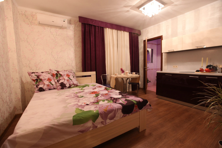 Фотография номера квартиры Апартаменты Золотой Шар на Революционной 3