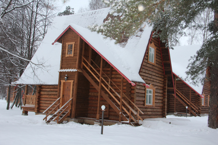 Фотография номера гостиницы Парк-отель Берендеевка