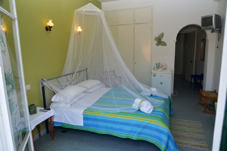 Standard Double room with balcony and with view