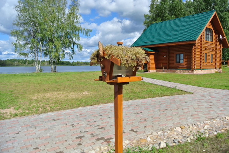 Изображение 1