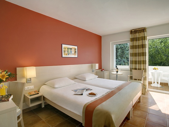 Standard Twin room with balcony and with park view