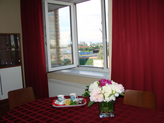 Фотография номера гостиницы Подмосковье-Подольск