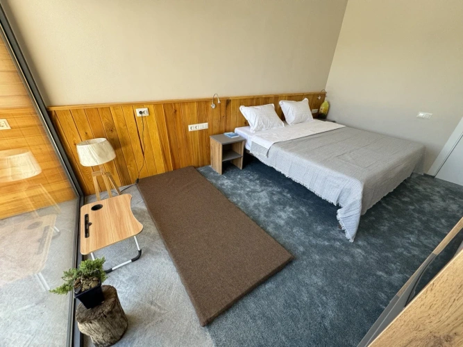 Standard Double room with pool view