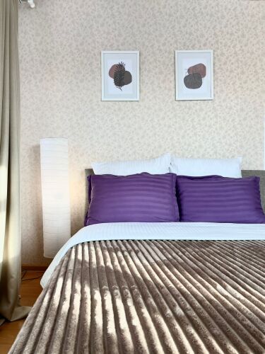 Фотография номера квартиры Апартаменты Созвездие Камчатки с Видом на Мишенную Сопку