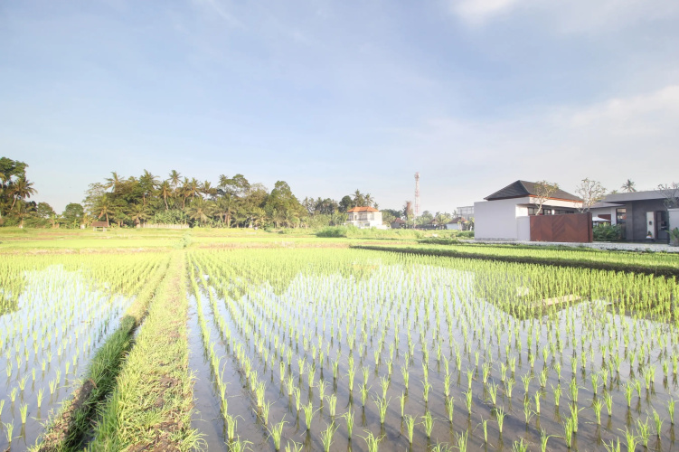 Vila Padma Bali A Trishula Collection Villa
