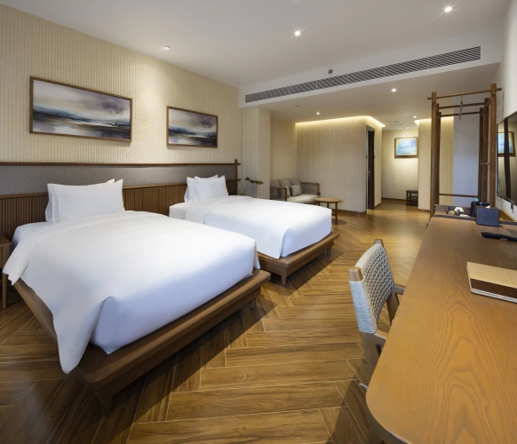 Superior Twin room with balcony and with view