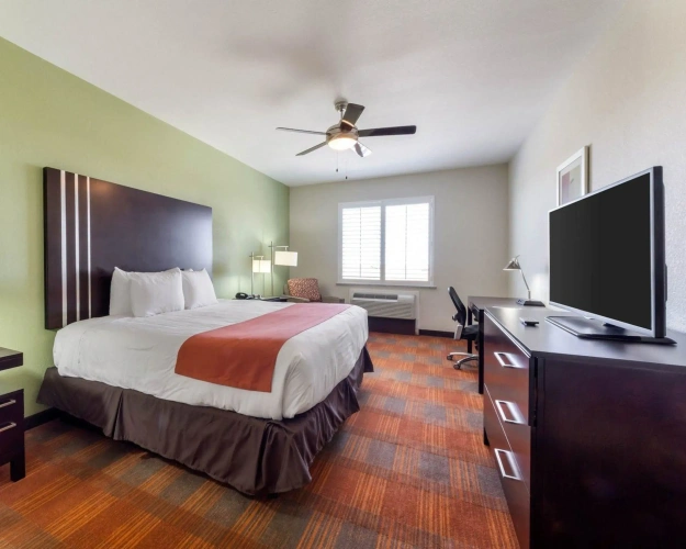 Standard Double room