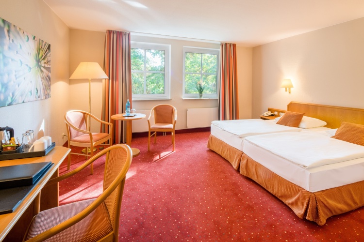 Comfort Double room