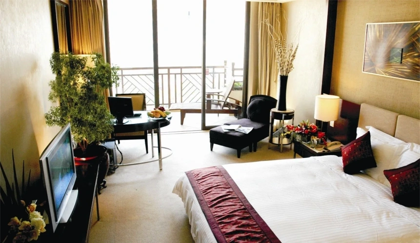 Executive Double room with balcony and with view