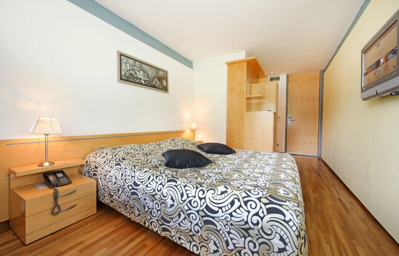 Standard Double room with garden view