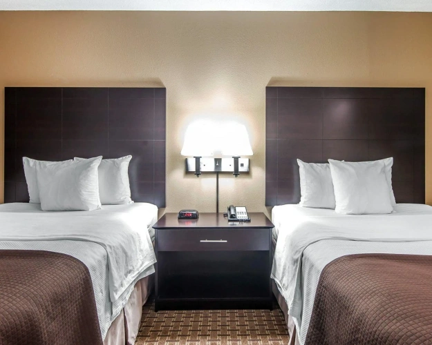 Quadruple Suite