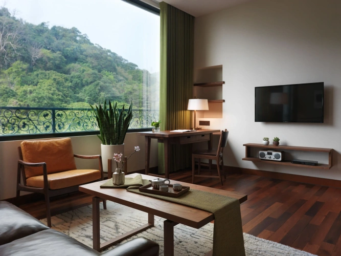 Deluxe Suite with view