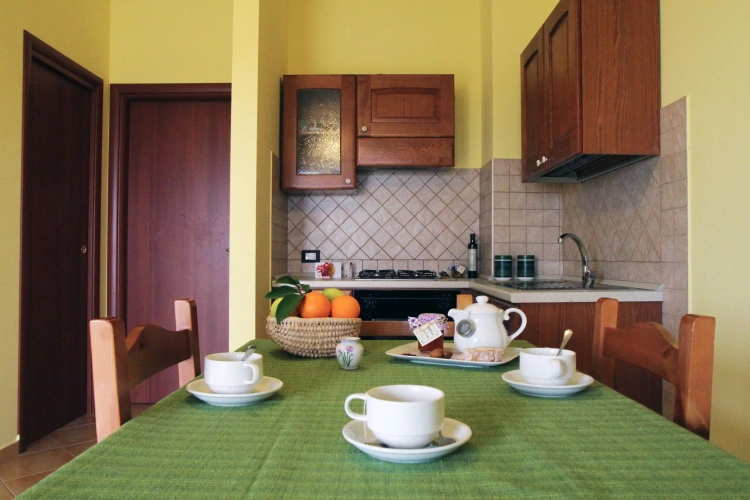 1 Bedroom Apartment with view
