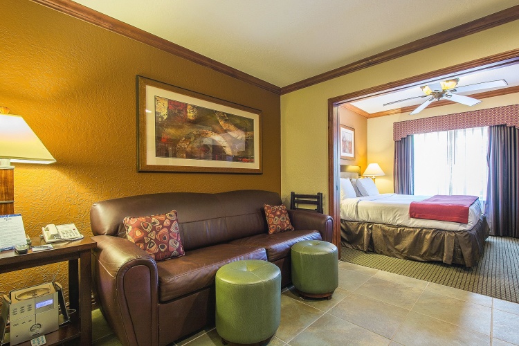 1 Bedroom Suite