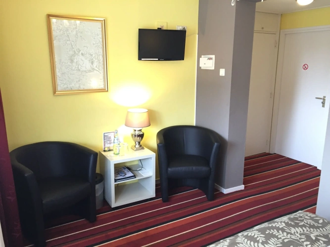 Standard Double room with balcony and with garden view