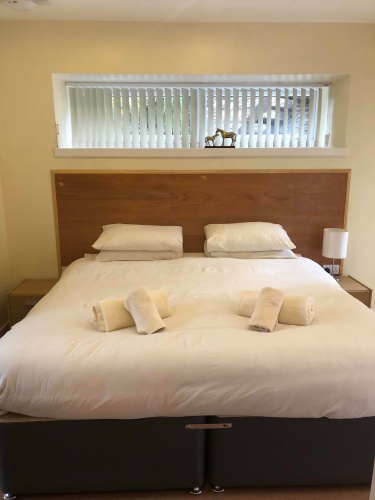 Deluxe Twin Suite
