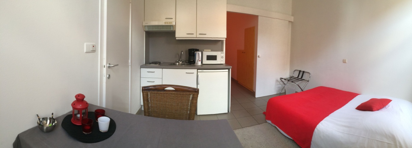 1 Bedroom Apartment