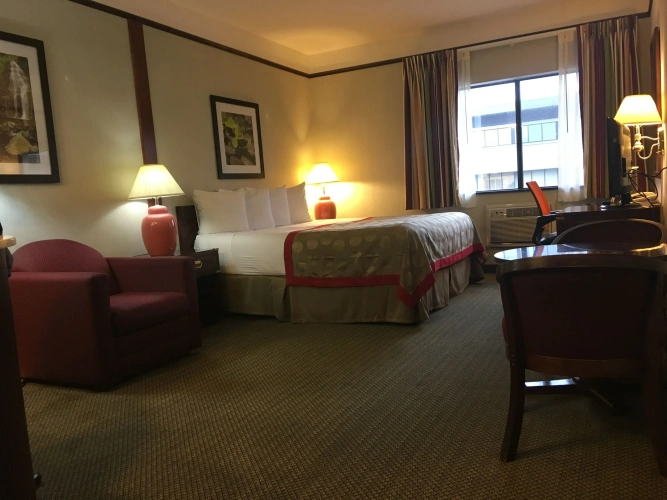 Standard Double room
