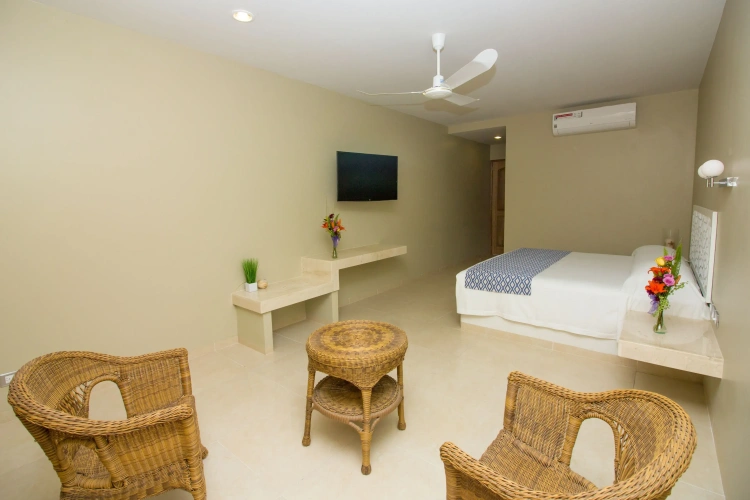 1 Bedroom Junior Suite