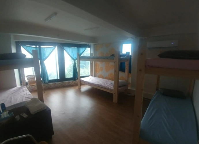Bed in Dorm