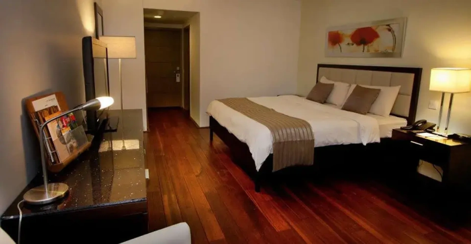 Standard Double room with balcony and with view