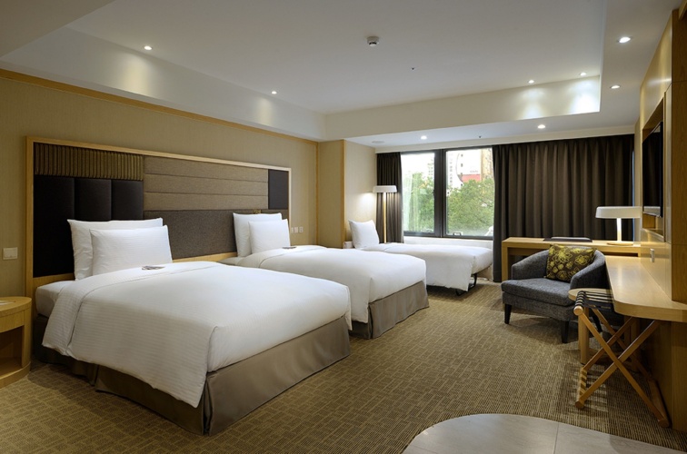 Standard Twin room with view