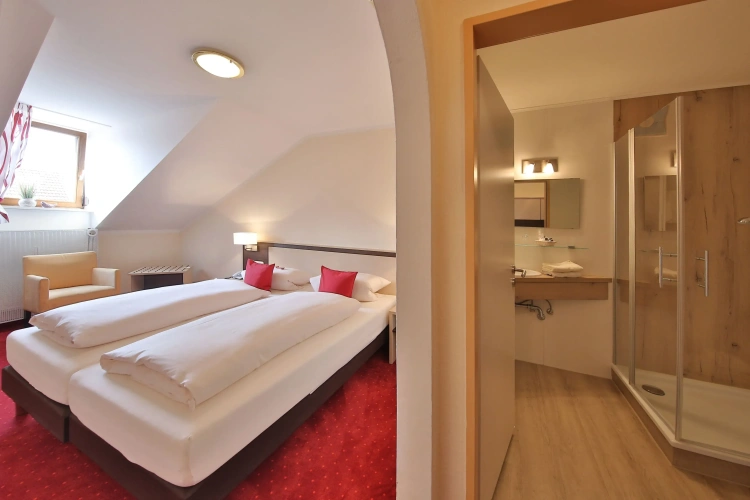 Standard Double room