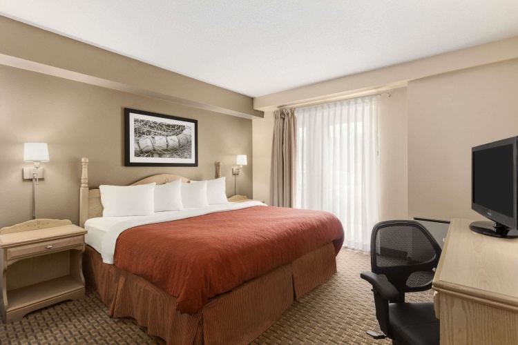 1 Bedroom Double Suite