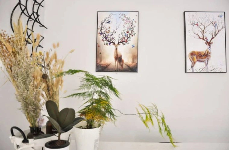 2 Bedrooms Double Cottage