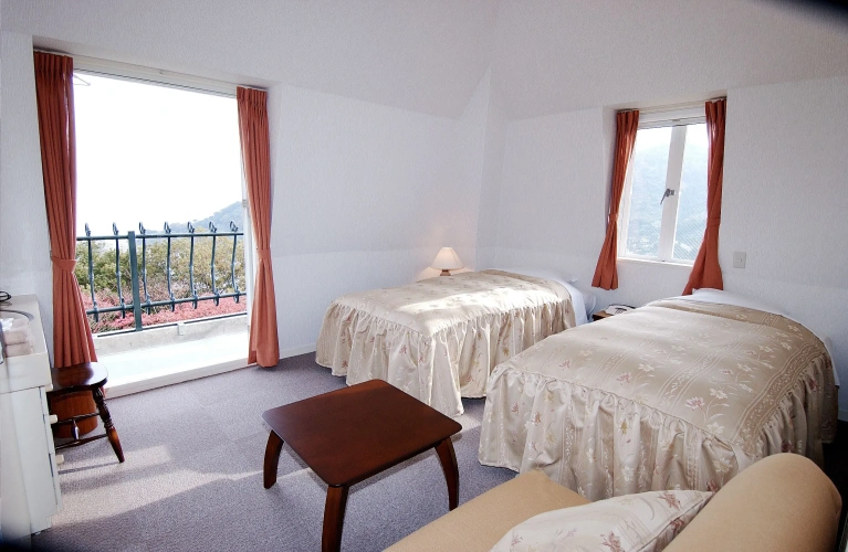 Standard Twin room with balcony and with mountain view