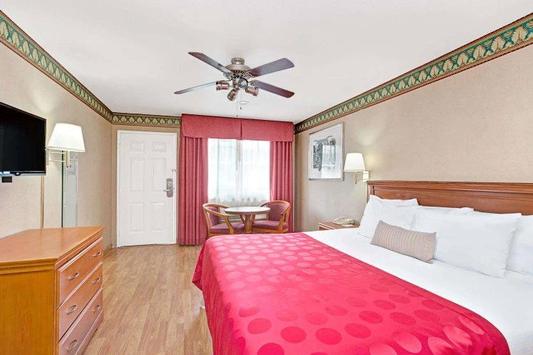 Standard Double room