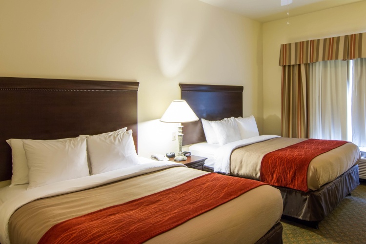 Quadruple Suite