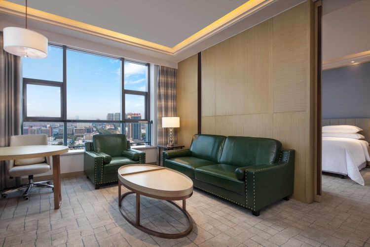 1 Bedroom Junior Suite with city view
