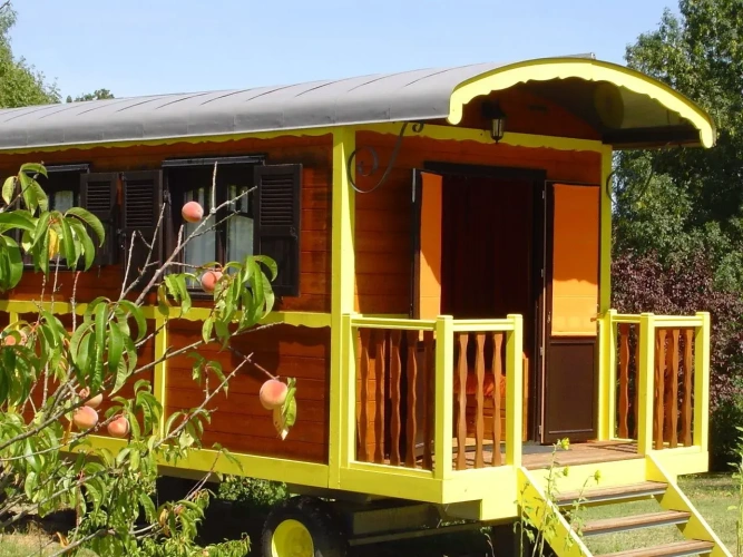 1 Bedroom Standard room