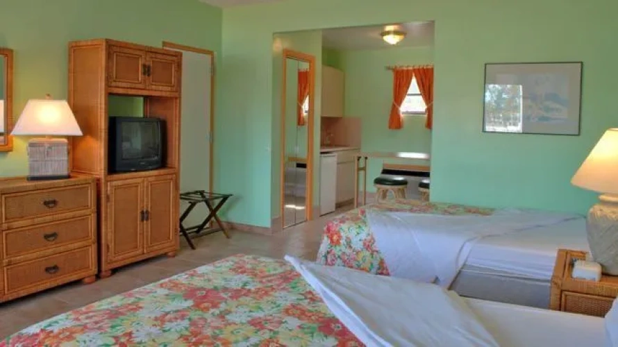 Standard Quadruple room with view