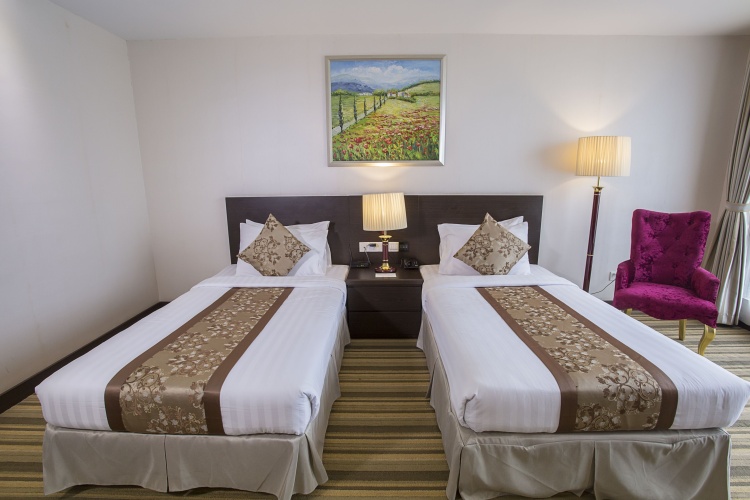 Premier Twin room with lake view