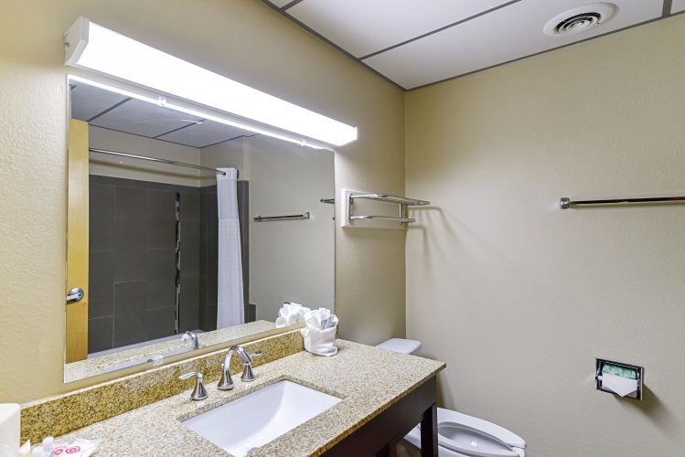 1 Bedroom Suite