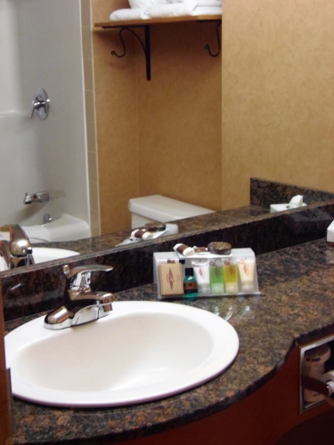 Rosslyn Inn & Suites photo 8
