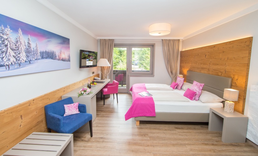 Standard Double room with balcony and with view