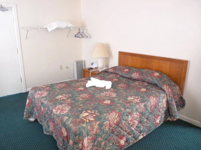 Standard Double room with ocean view