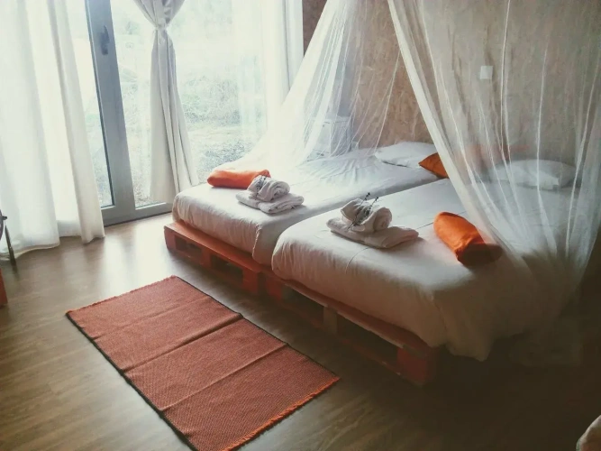 Standard Double room with view