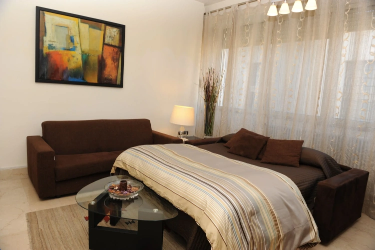 1 Bedroom Apartment