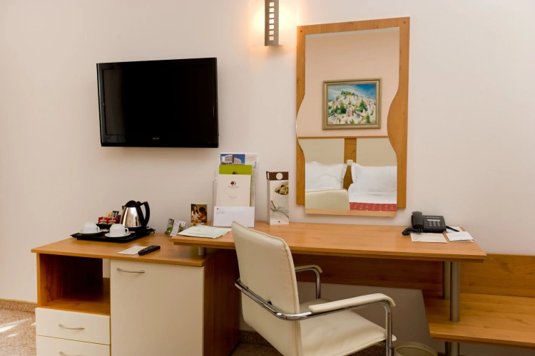 Standard Twin room with park view