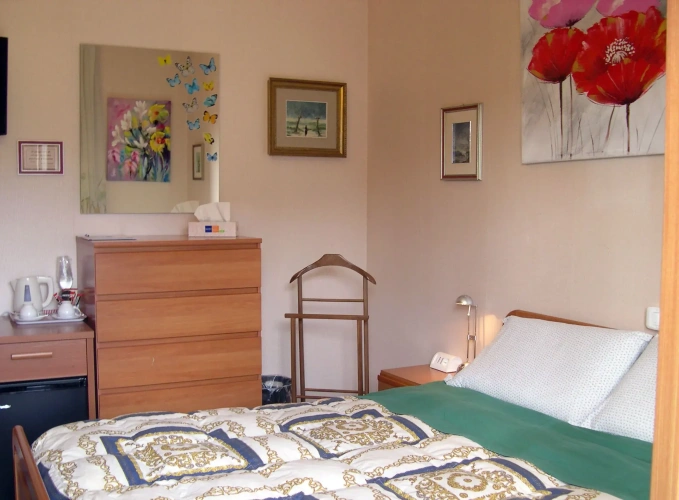 Standard Double room with balcony and with view