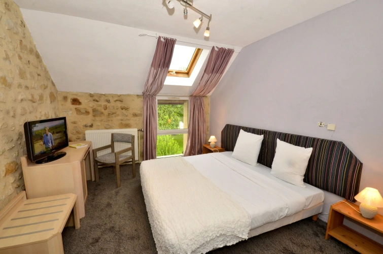 Standard Double room with park view