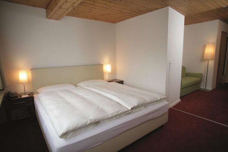 Standard Double room with mountain view