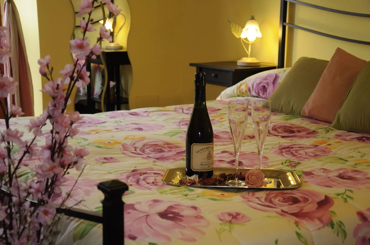 2 Bedrooms Double Apartment with courtyard view