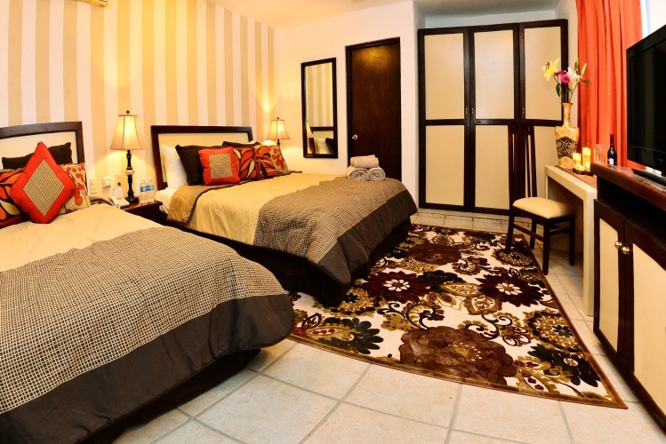 Deluxe room with garden view