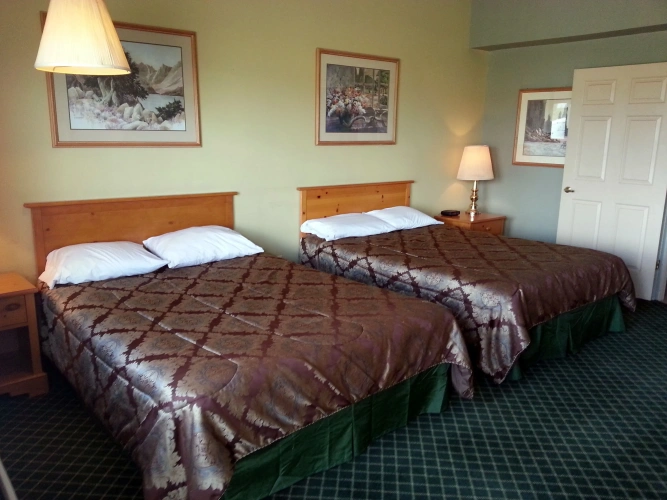 Standard Double room