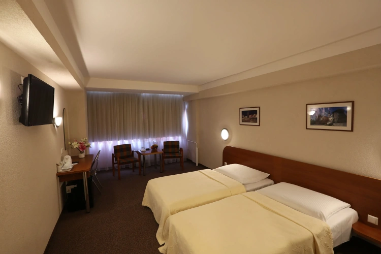 Business Double room